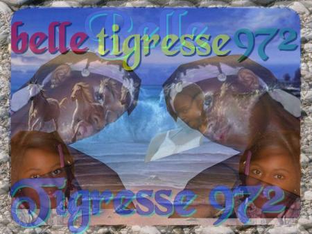 le montage ke g fait